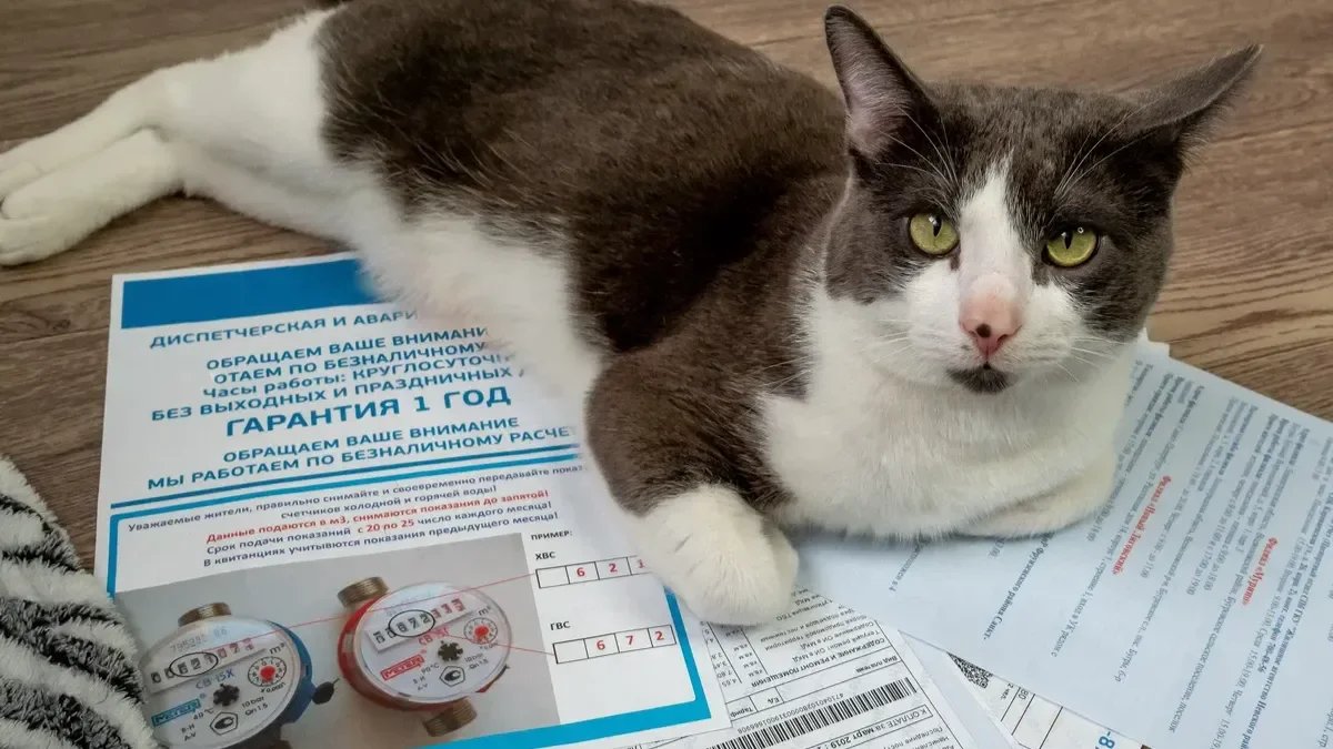 Фото: Олег Золото / MR7