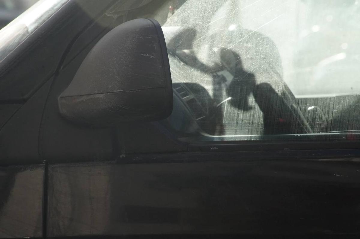 Фото: Павел Борисенко / MR7