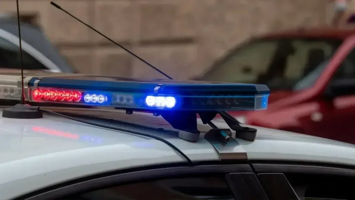 Фото: Олег Золото / МР7