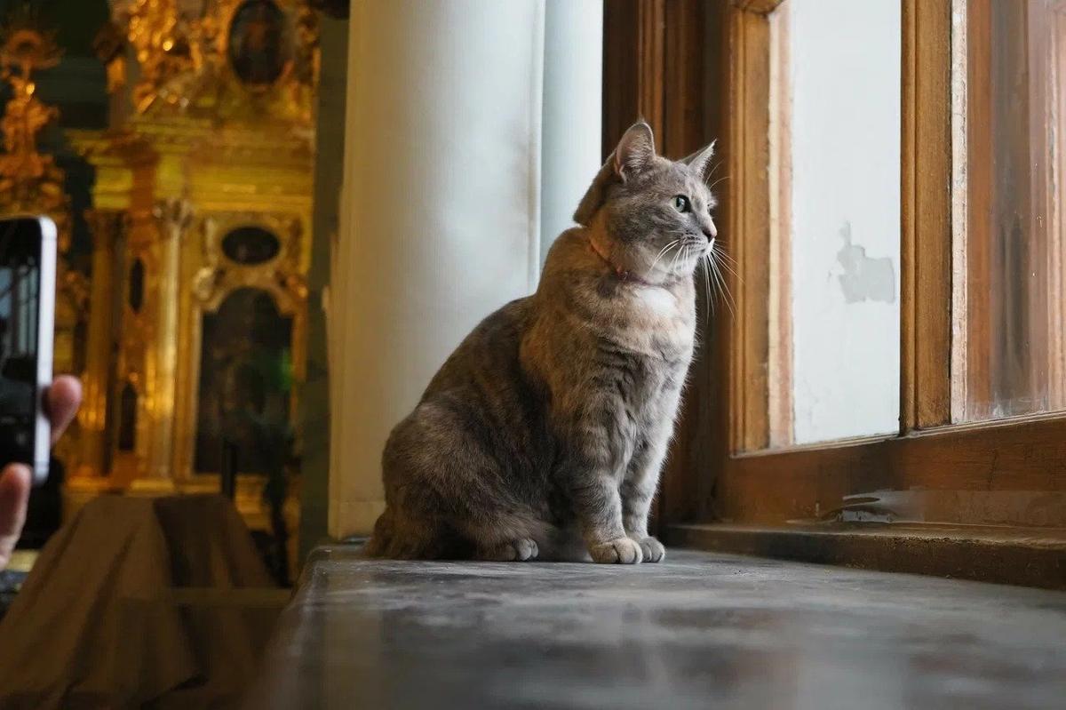Фото: Олег Золото / MR7