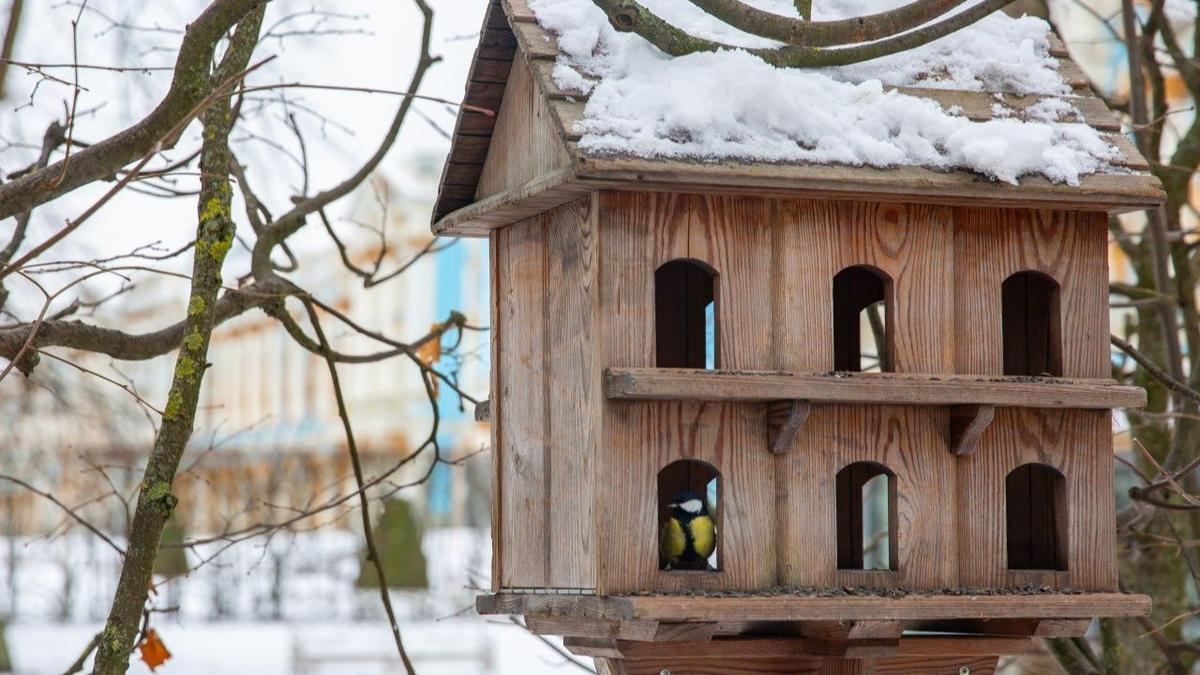 Фото: ГМЗ «Царское Село», Екатерина Новак