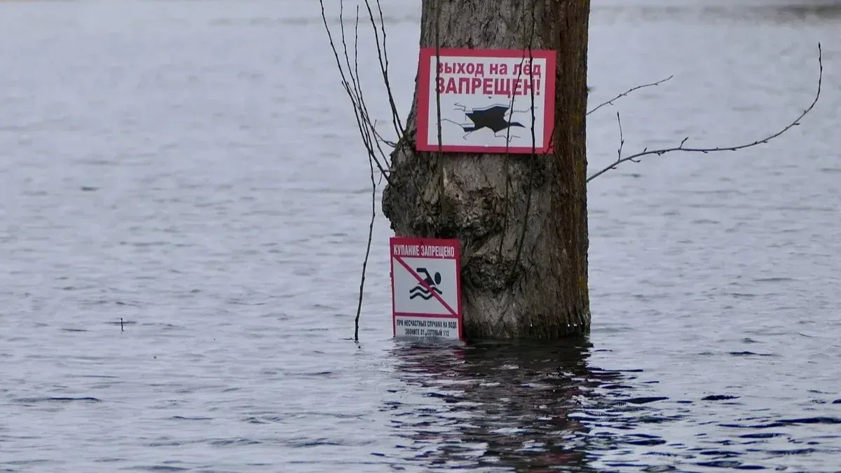 Петербуржцы присоединяются к сбору гуманитарной помощи пострадавшим при  паводке в Орске — Новости Санкт-Петербурга › МР7.ру