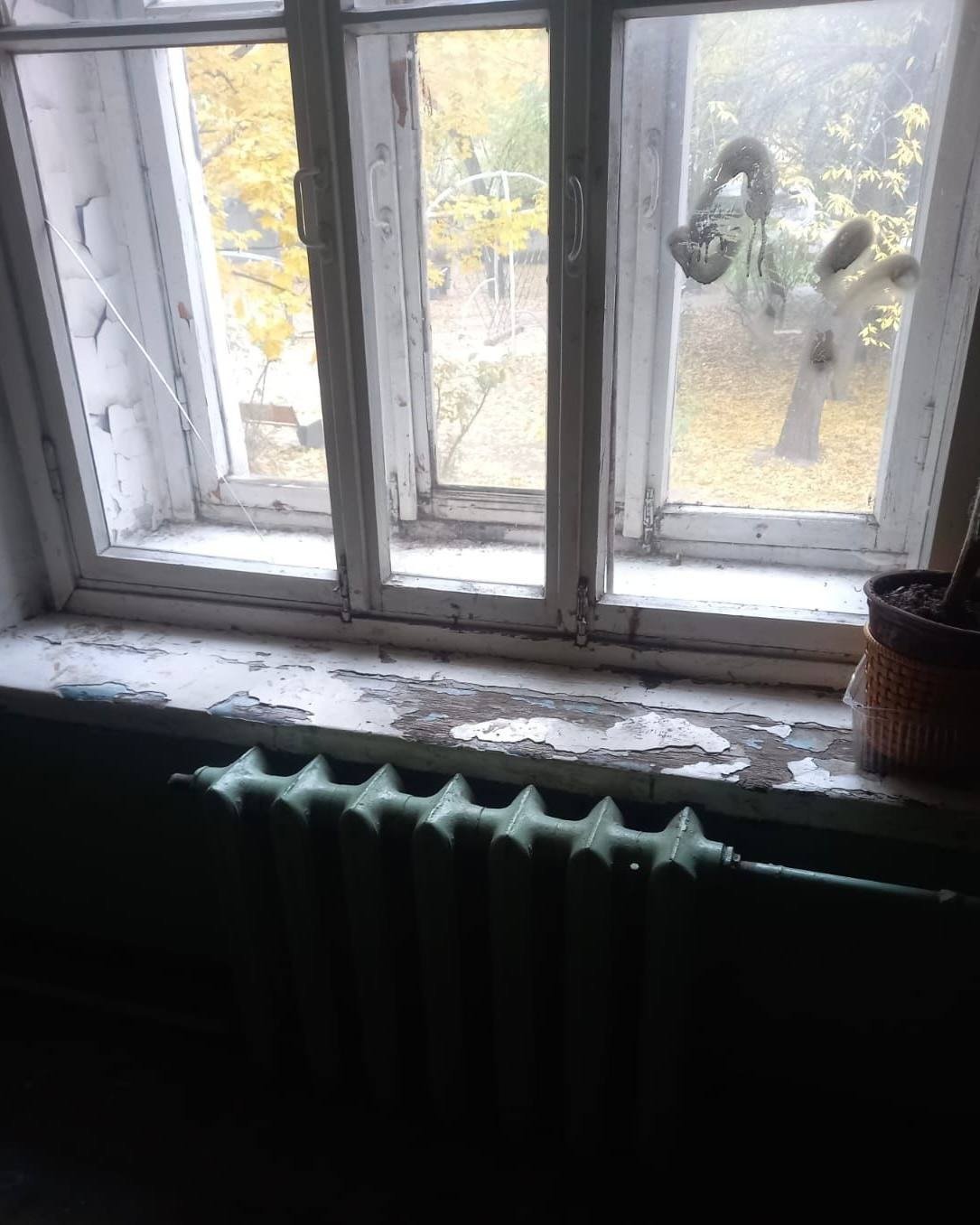 Фото: прокуратура Петербурга