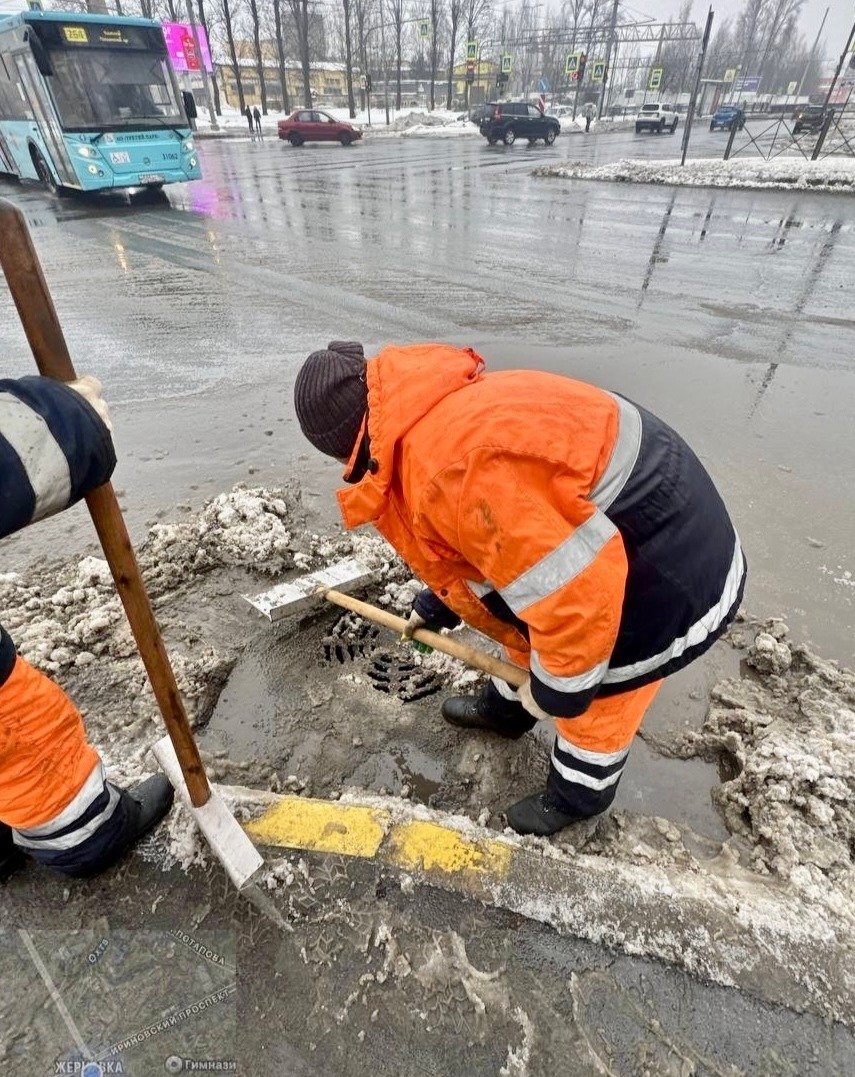 Фото: комитет по благоустройству Петербурга