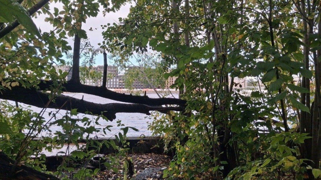 Фото: КГИОП