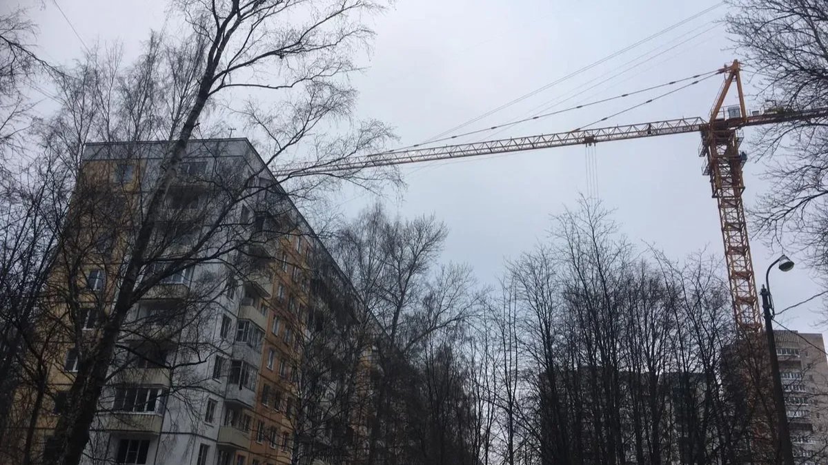 Судьба ушастых сов — не аргумент: суд отказался прекратить строительство спорткомплекса у парка Сахарова