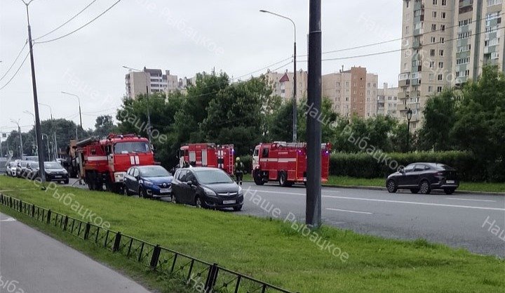 Фото: «Наше Рыбацкое»