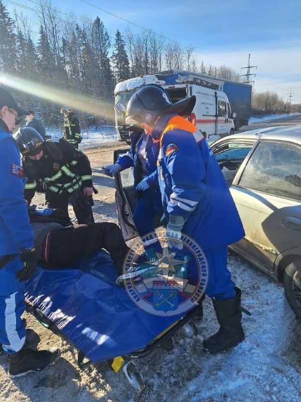 Фото: telegram-канал Аварийно-спасательной службы Ленинградской области