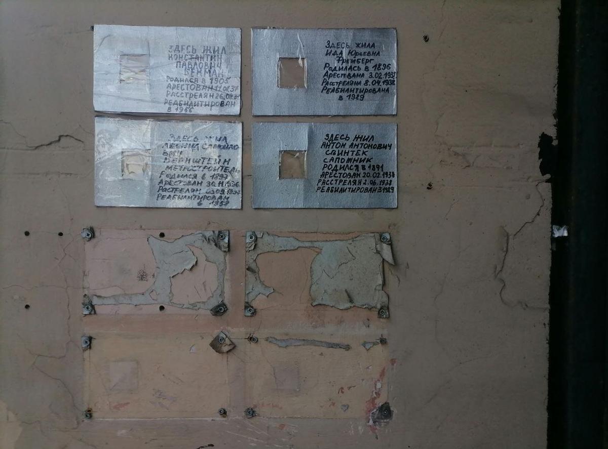 Фото: Елена Михина / МР7