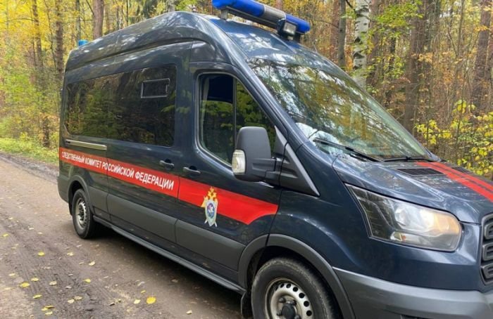 Петербургский Следком провел обыски у активистов «Партии мертвых»