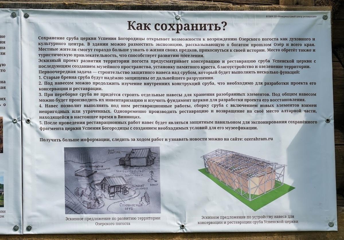 Фото: Максим Титов