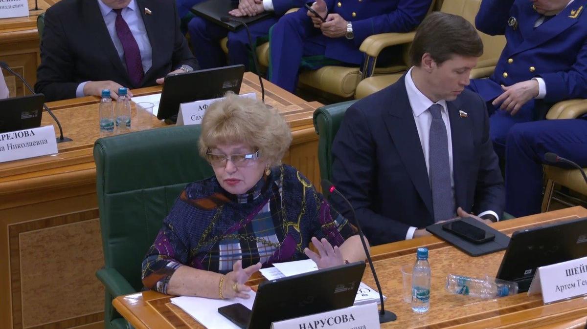 Скриншот: трансляция совместного заседания комитетов Совфеда