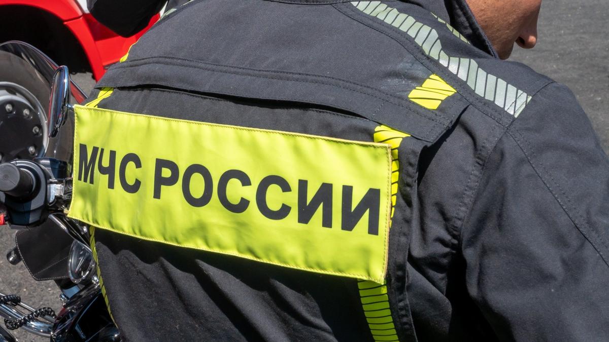 Фото: Олег Золото / МР7