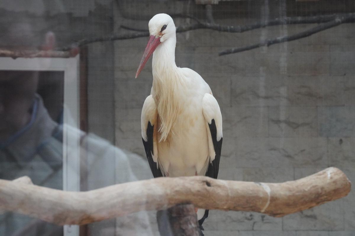 Фото: Павел Борисенко / MР7