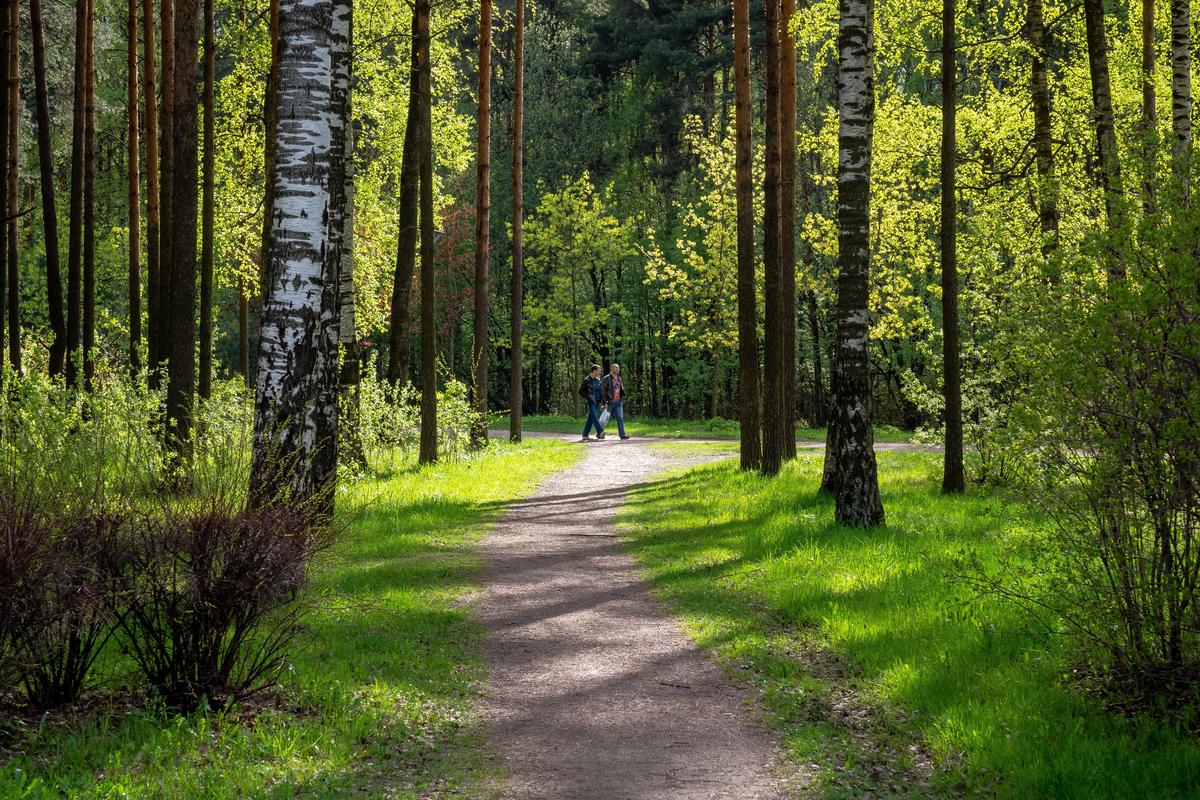 Фото: Олег Золото / MR7