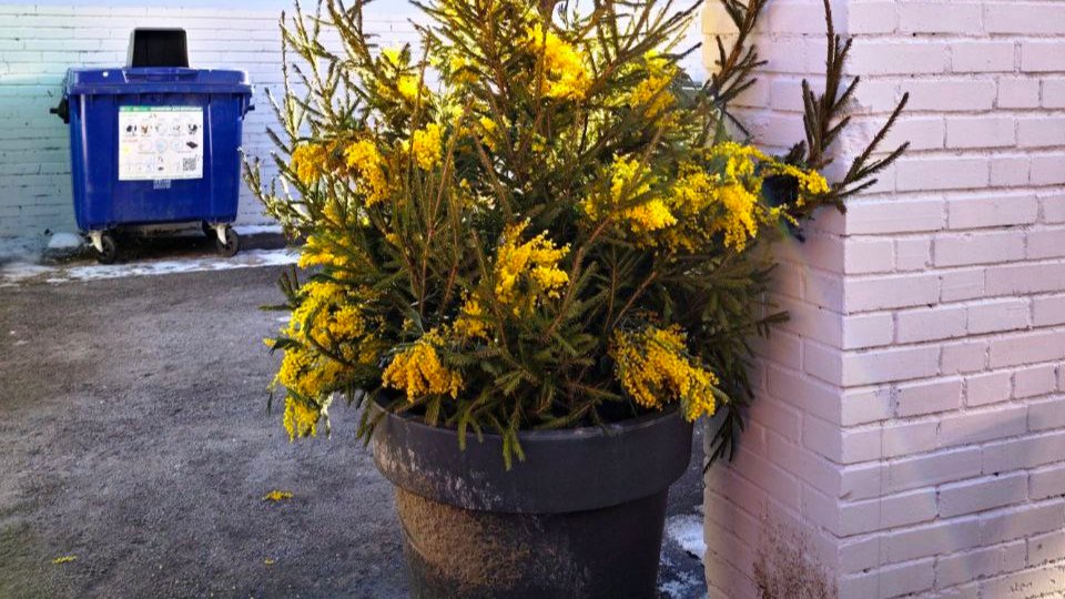 Фото: читатель MR7