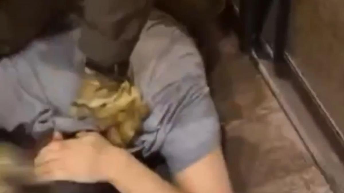 Скриншот видео: МВД по Петербургу и Ленобласти