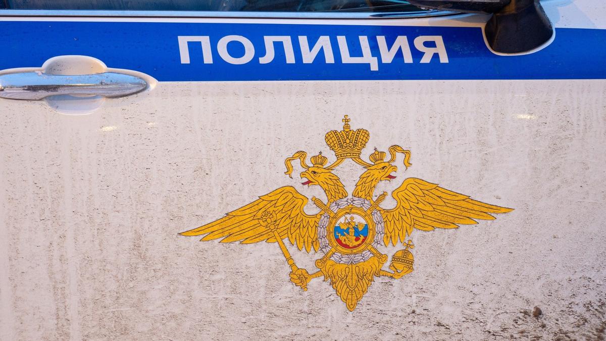 Фото: Дмитрий Абрамов / МР7