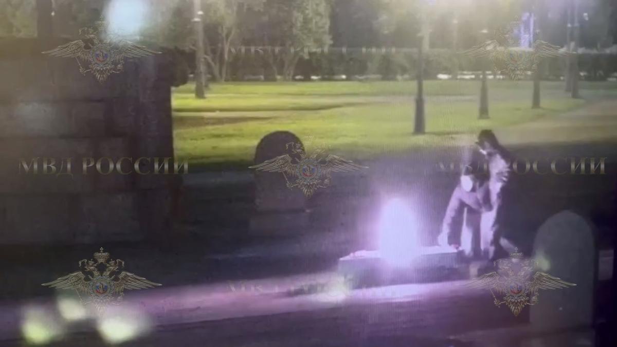 Фото: telegram-канал Ирины Волк