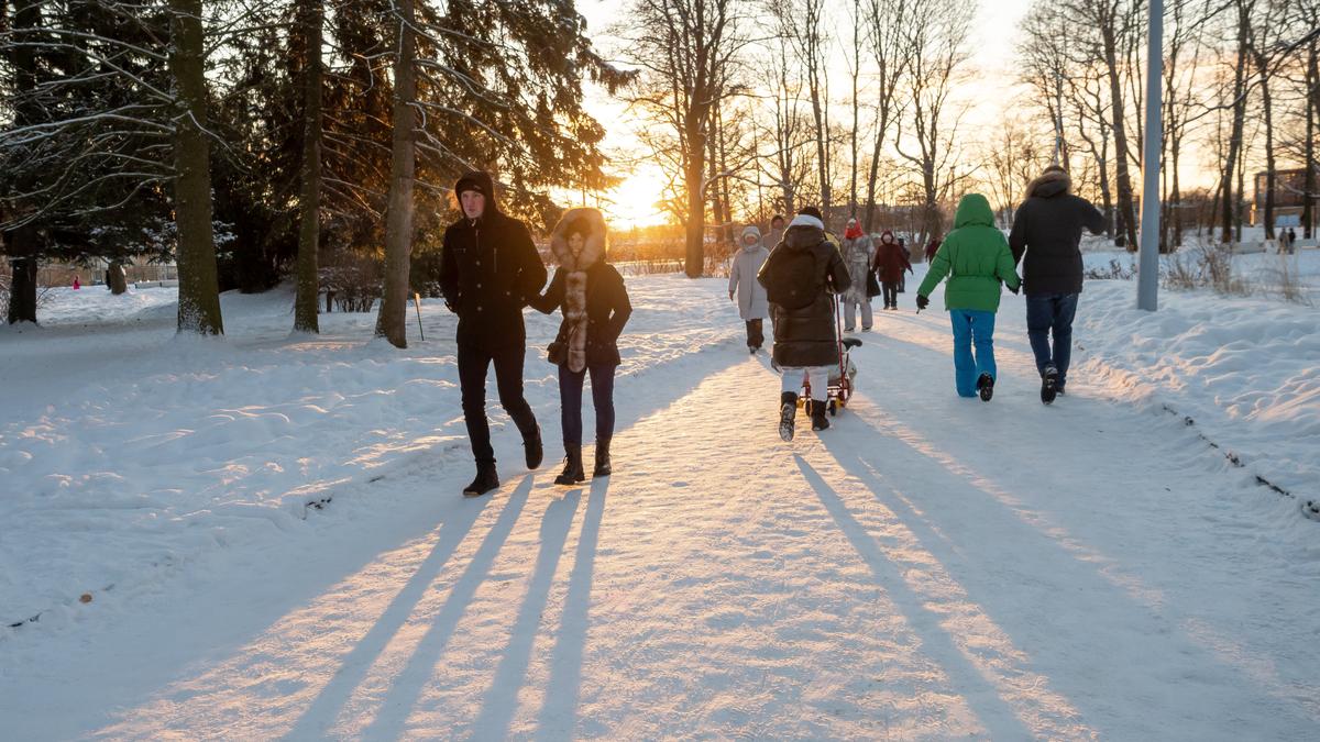 Десять скверов в Петербурге получат названия