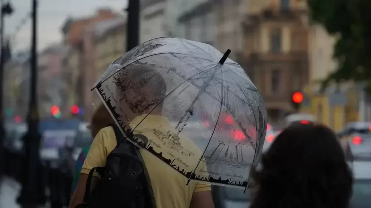 Фото: Павел Борисенко / МР7