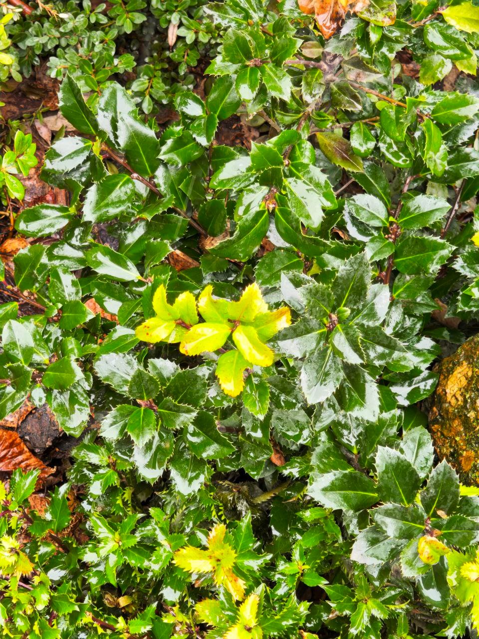 Фото: читатель МР7