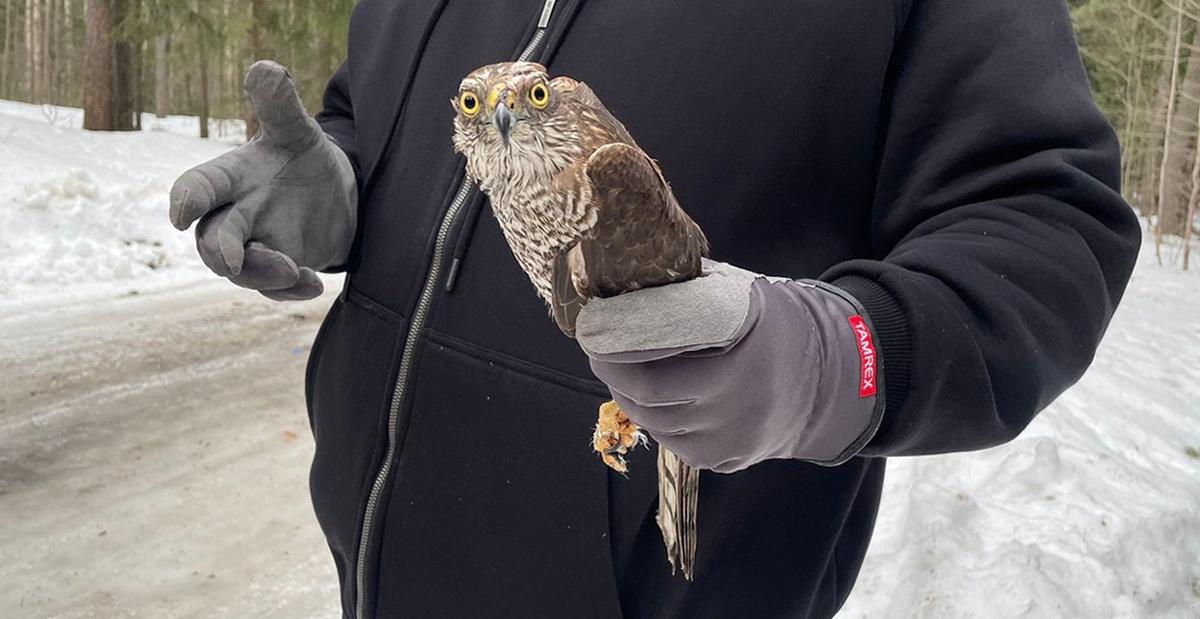Фото: пресс-служба администрации Петербурга