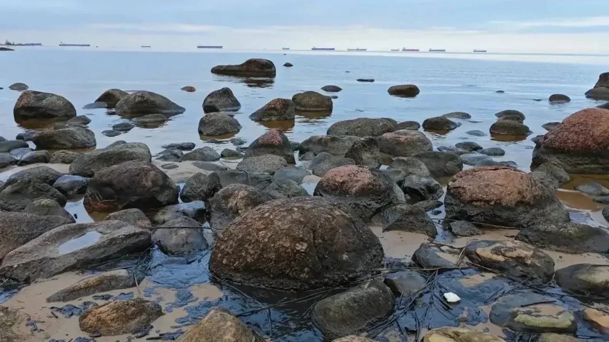 Фото: Эконадзор Ленобласти