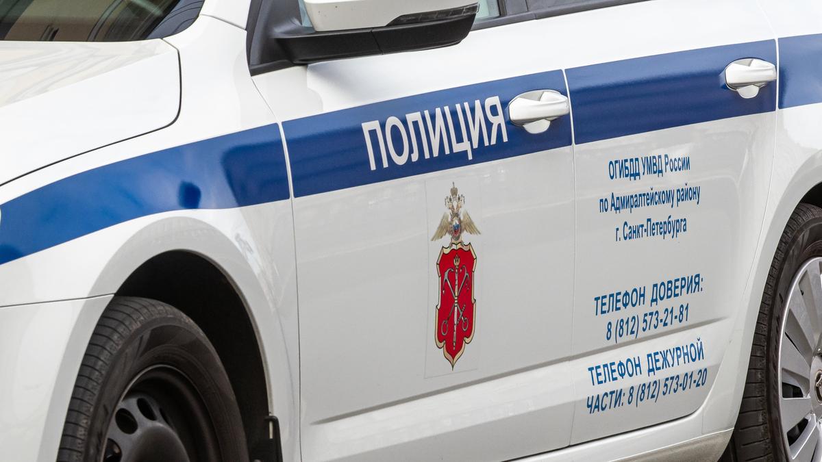 На Комендантском проспекте сбили 11-летнюю девочку