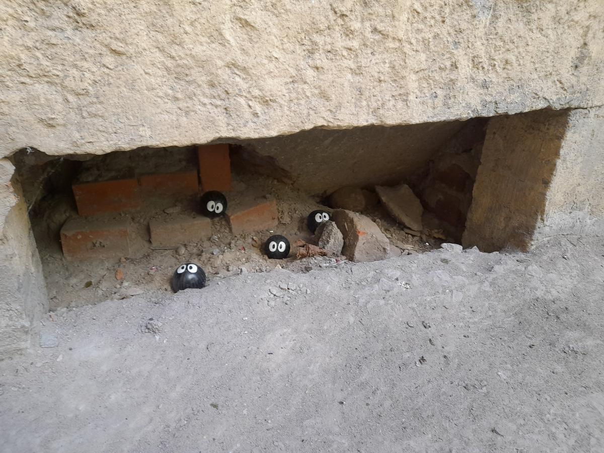 Чернушки (сусуватари). Фото: Анна Мотовилова / MR7