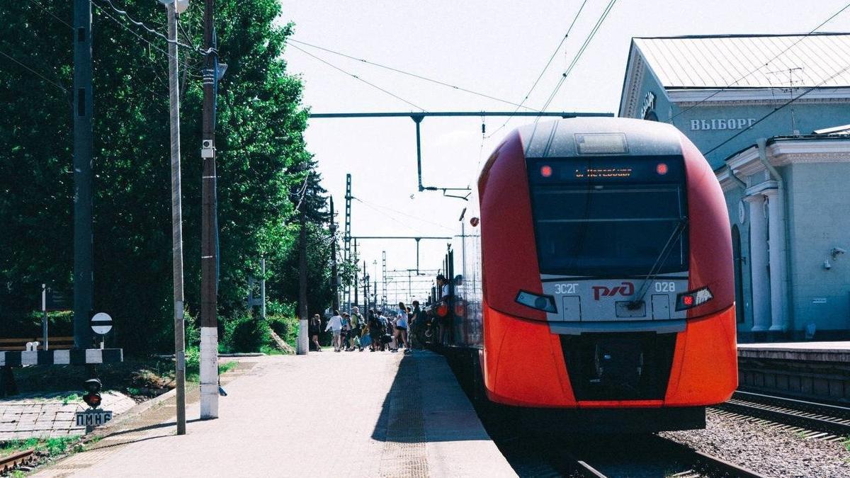 Фото: СЗППК