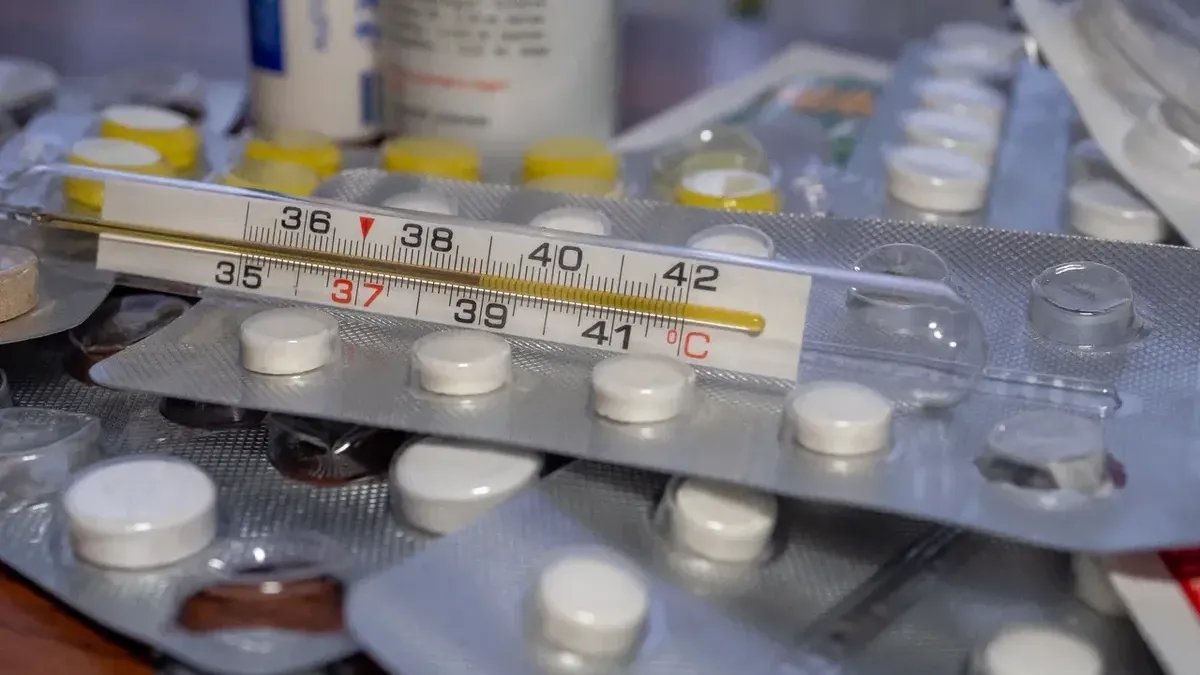 Фото: Олег Золото / MR7