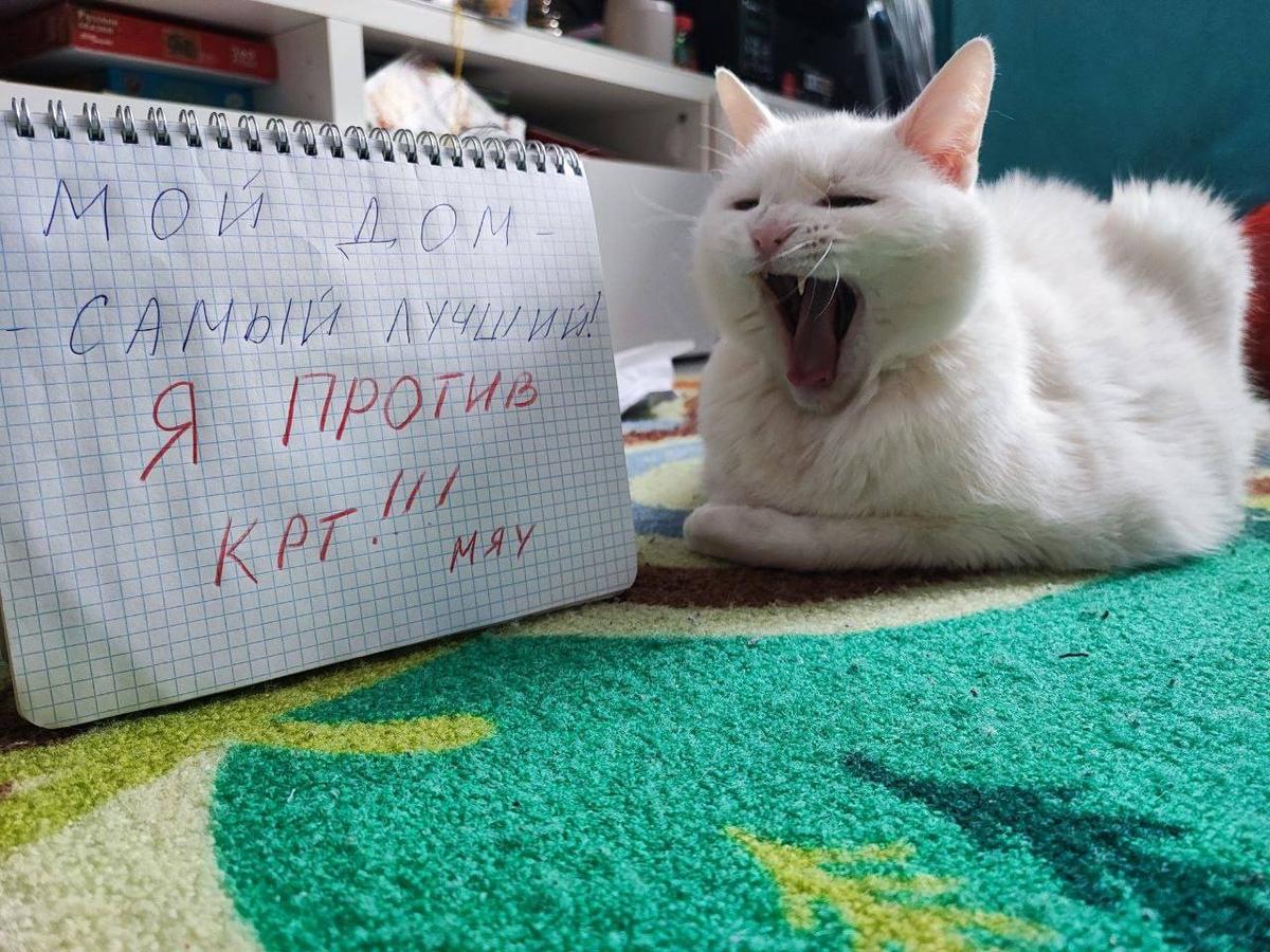 Муся из Калиниского района поддерживает инициативу активистов отменить КРТ. Фото: Мария Рыбакова