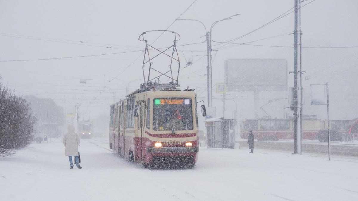 Проспект культуры 61