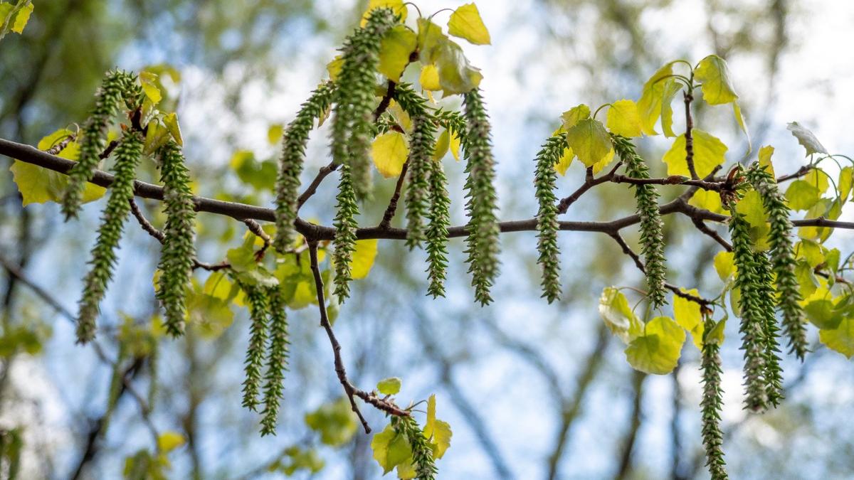 Фото: Олег Золото / МР7