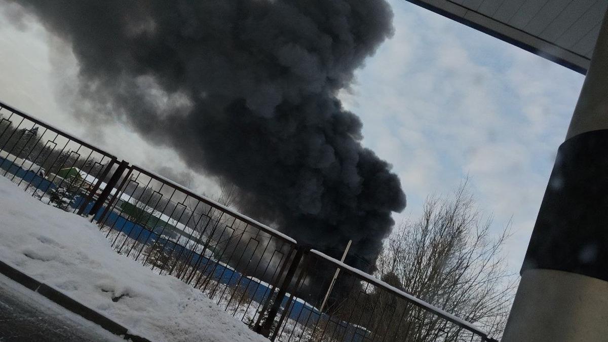 Фото: telegram-канал «Дорожный контроль»