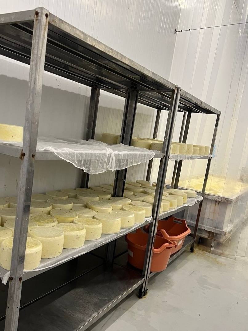 Фото: прокуратура Петербурга