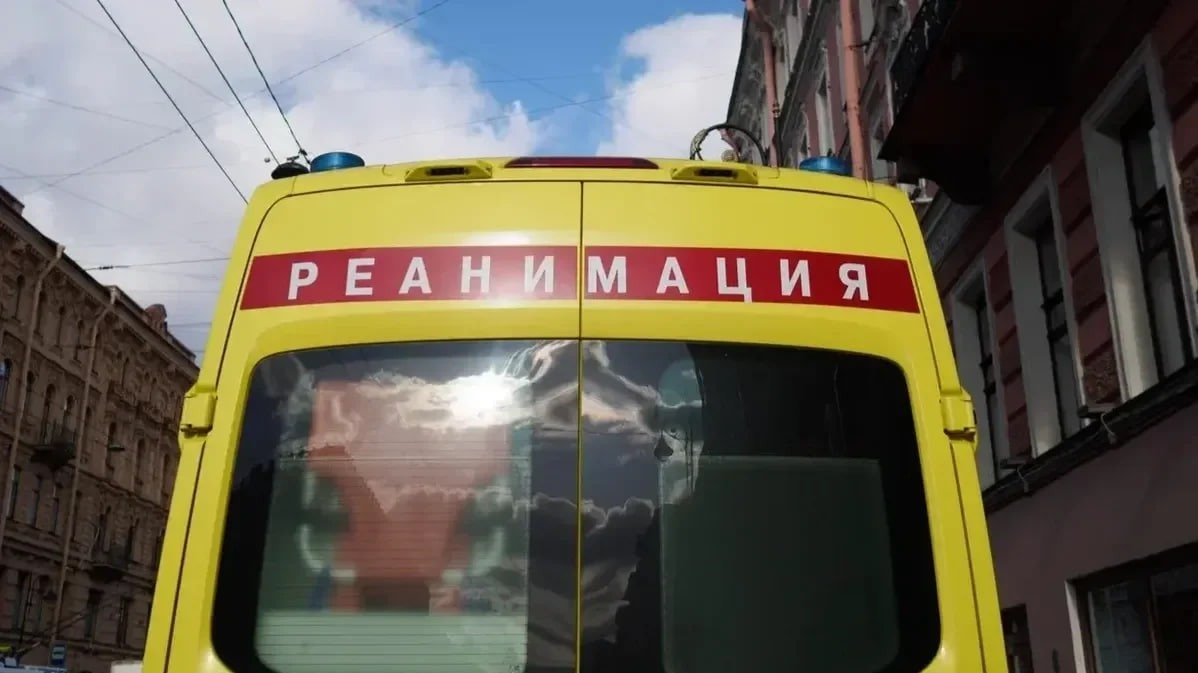 Фото: Дмитрий Абрамов / МР7