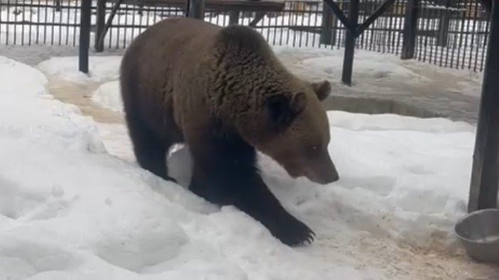 Фото: Росприроднадзор