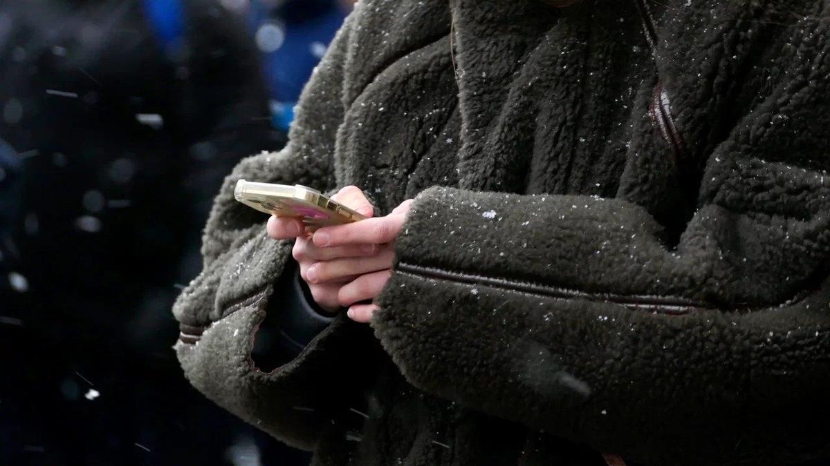 Фото: Павел Даиси / МР7