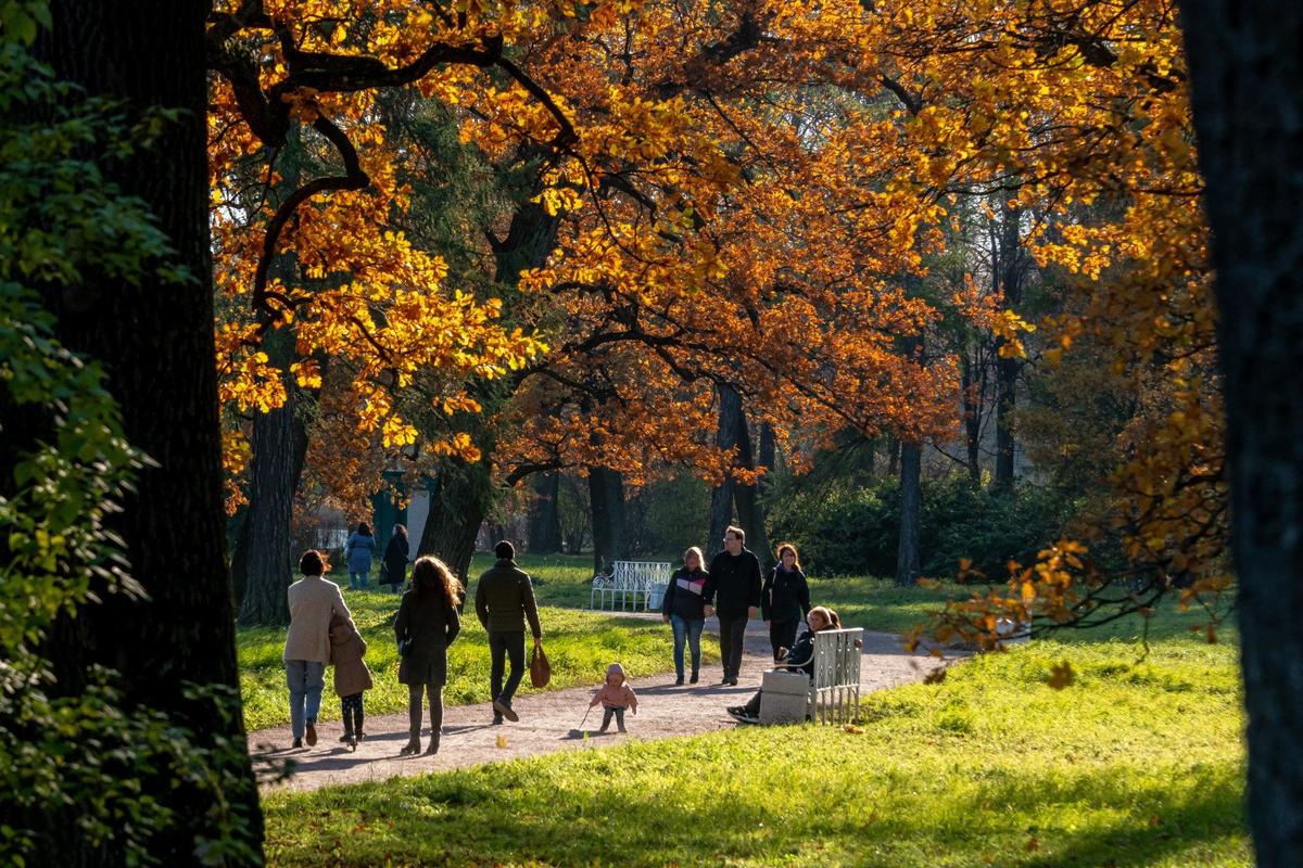 Осень в Пушкине. Фото: Олег Золото / MR7