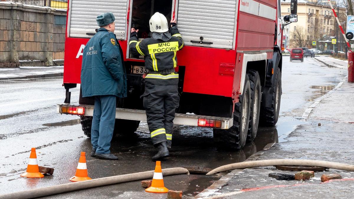 В квартирном пожаре на улице Димитрова едва не погиб петербуржец — Новости  Санкт-Петербурга › МР7.ру