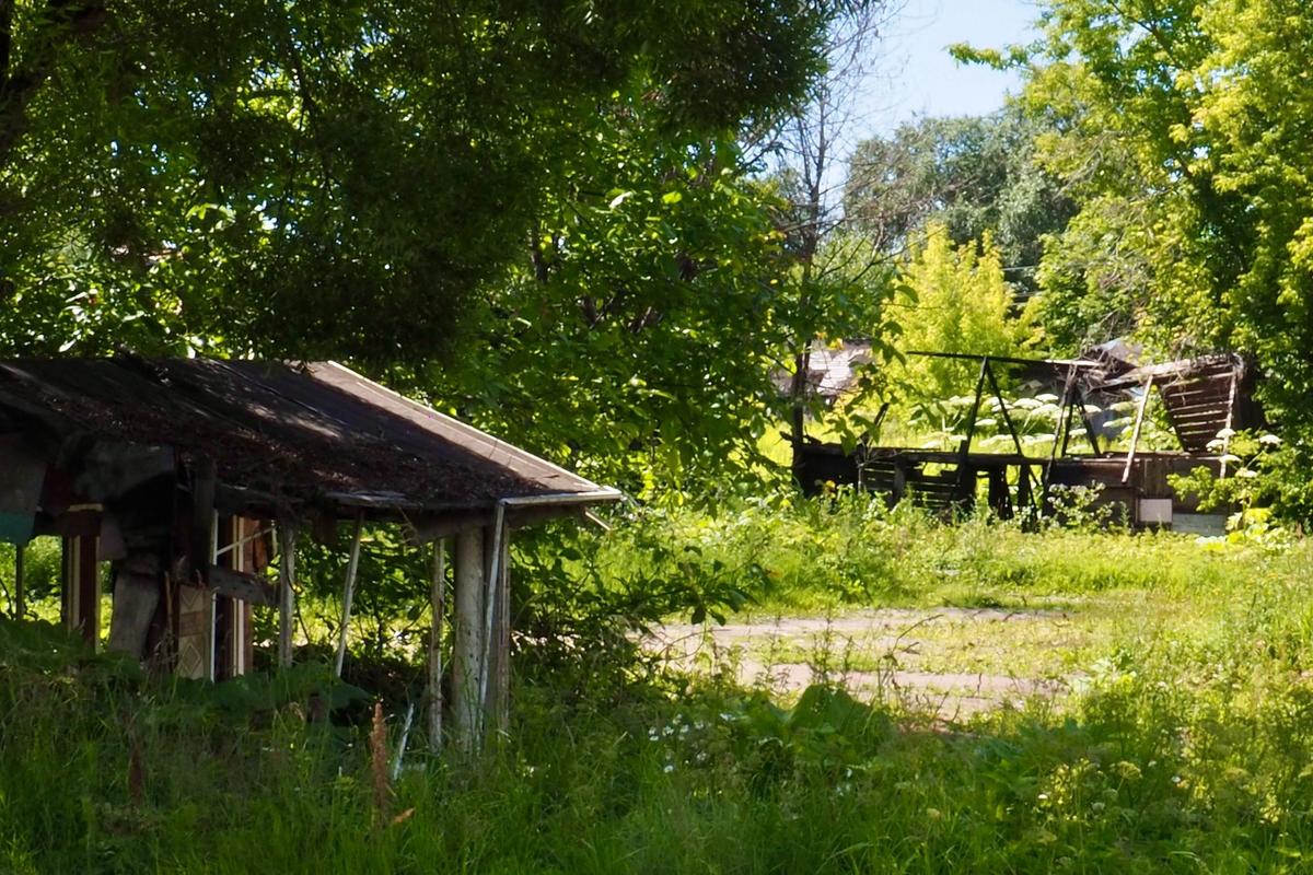 Территория бывшего совхоза «Пригородный». Фото: Павел Даиси / MR7