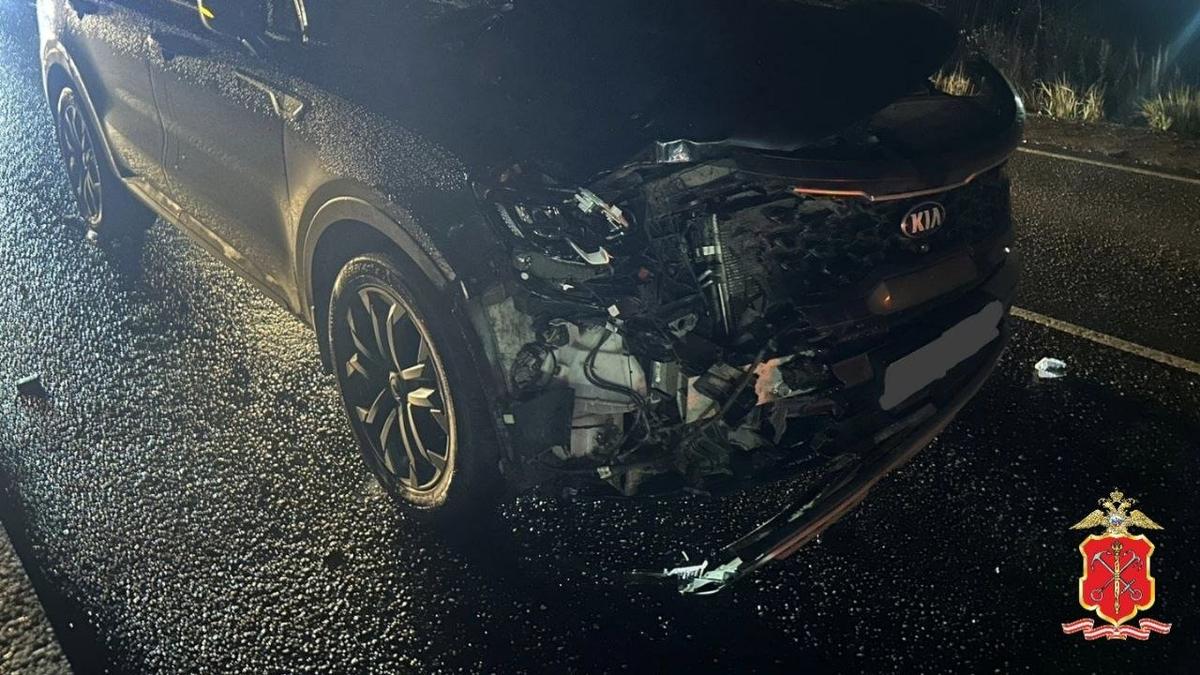 Фото: ГУ МВД по Петербургу и Ленобласти