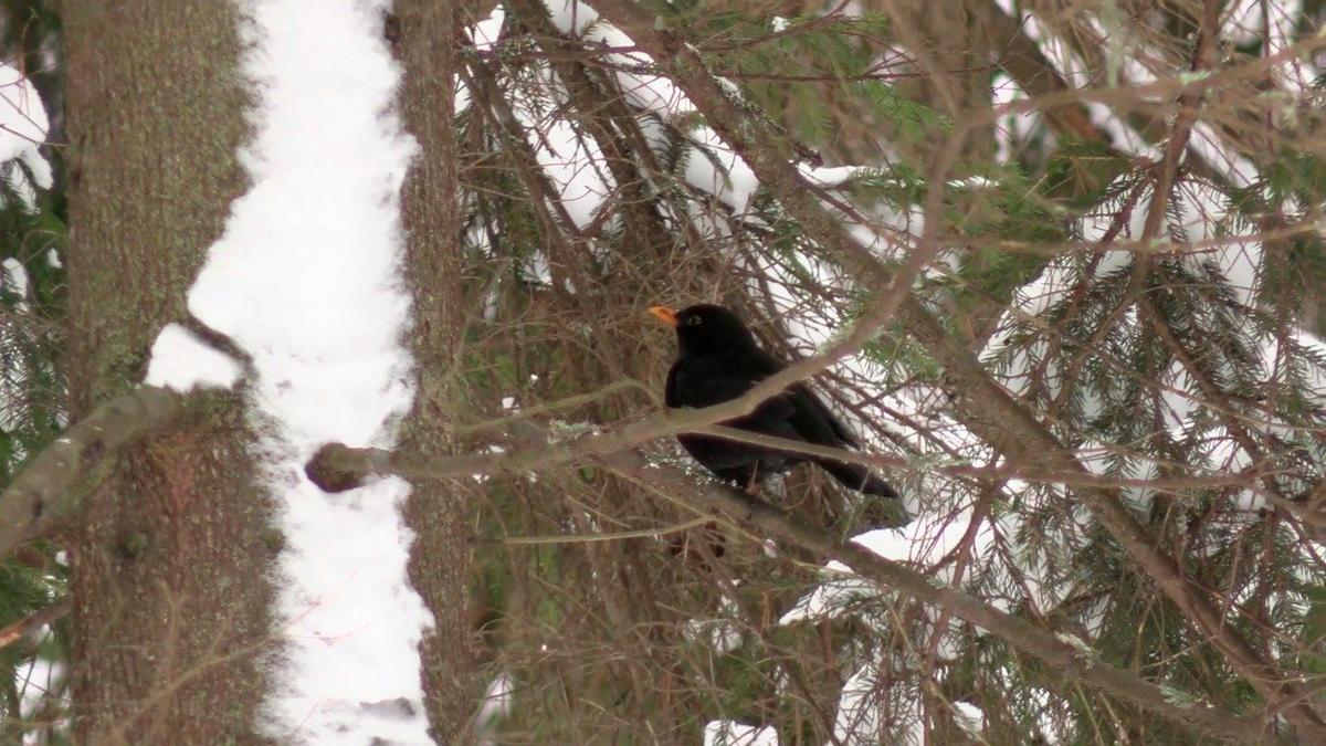 Фото: Павел Глазков / «Каждой твари по паре»