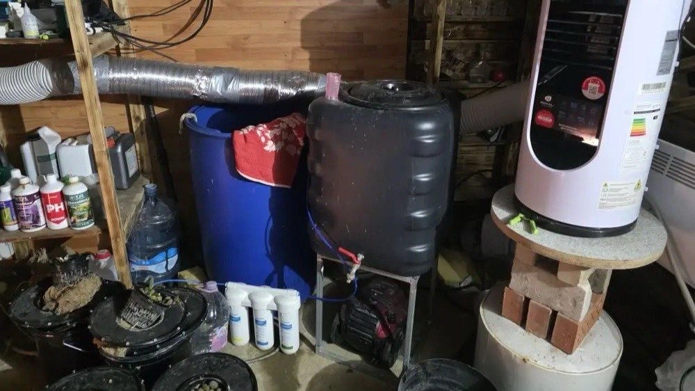 Фото: ГУ МВД по Петербургу и Ленобласти