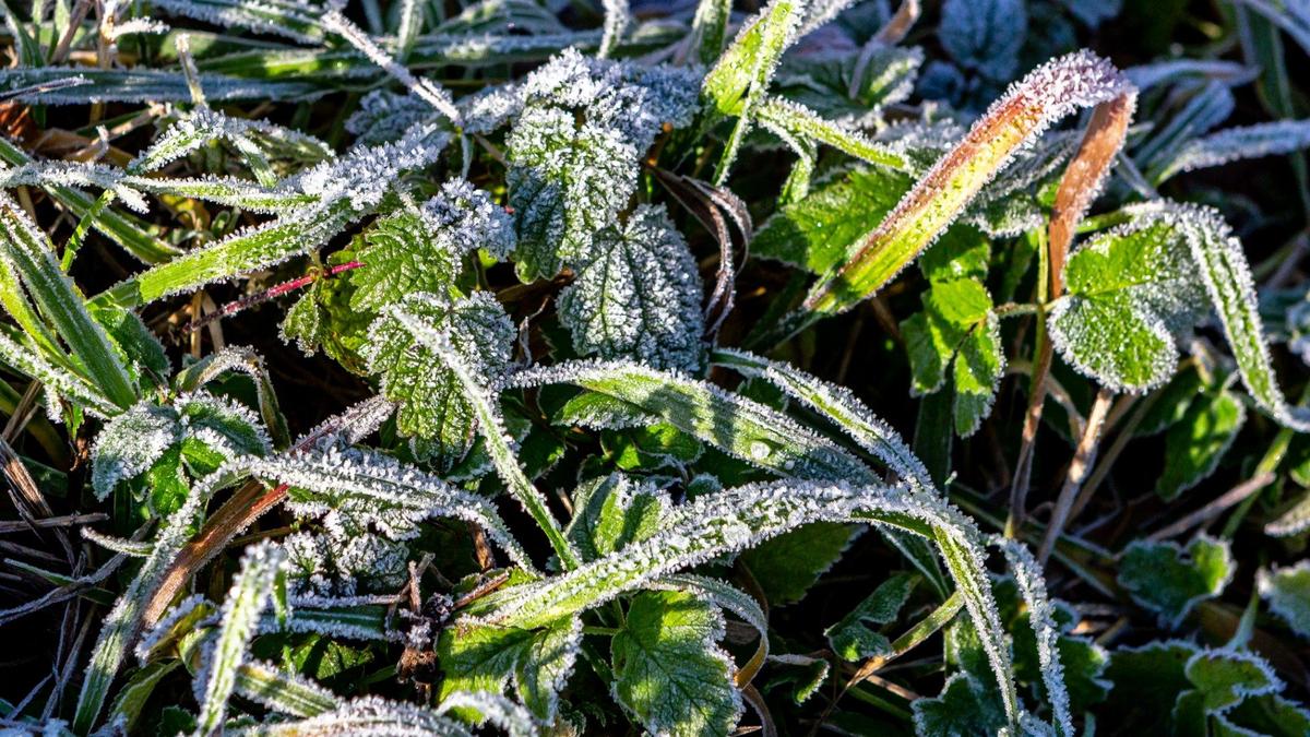 Фото: Олег Золото / MR7