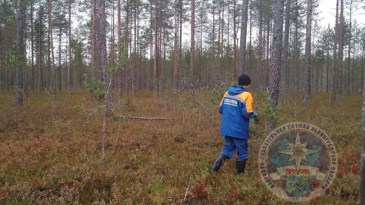 Фото: Аварийно-спасательная служба Ленобласти
