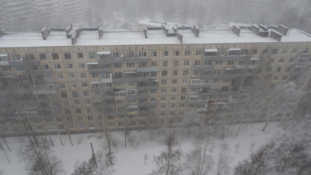 Стрельба по снежкам во дворе на Дунайском проспекте закончилась уголовным  делом — Новости Санкт-Петербурга › МР7.ру