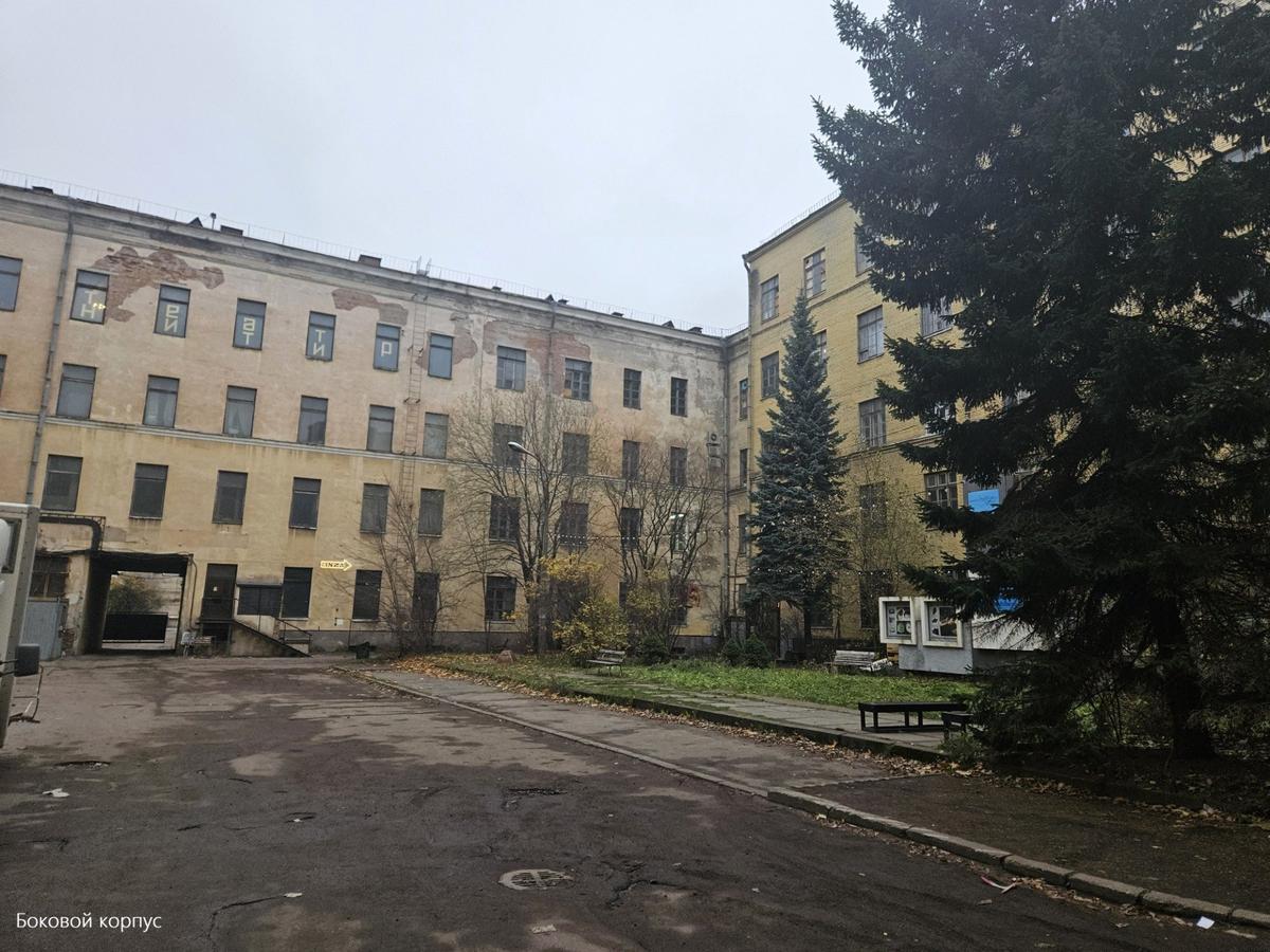 Боковой корпус института имени Вавилова. Фото: КГИОП